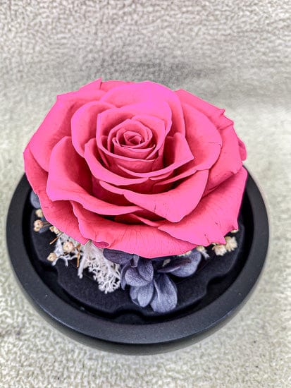 Preserved Rose In Glass Cover