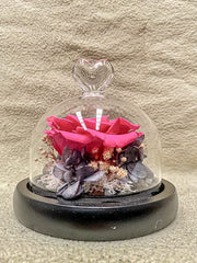 Preserved Rose In Glass Cover