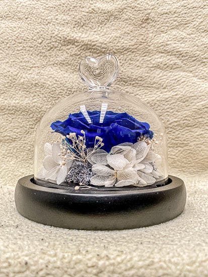 Preserved Rose In Glass Cover