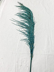 Natural Pampas Grass